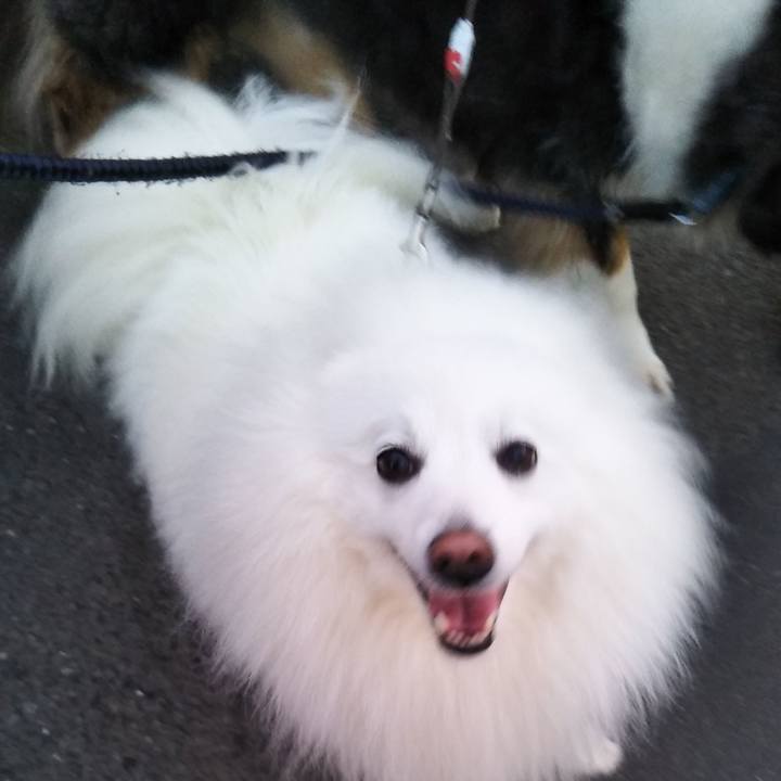 48e7dcab 40d0 4aab 816b 2d526a2a4da3 1584535860886