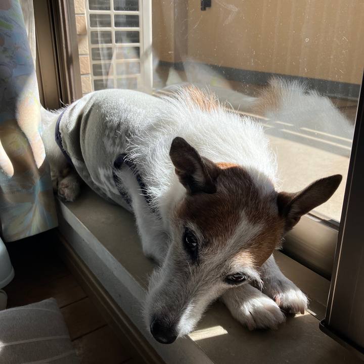 48e7f621 c2c3 4d2e a4a0 d0346f206049 1708126734756