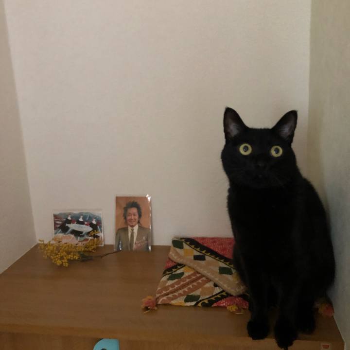 48e7f625 5243 4163 a5ce caa028435244 1583971524501