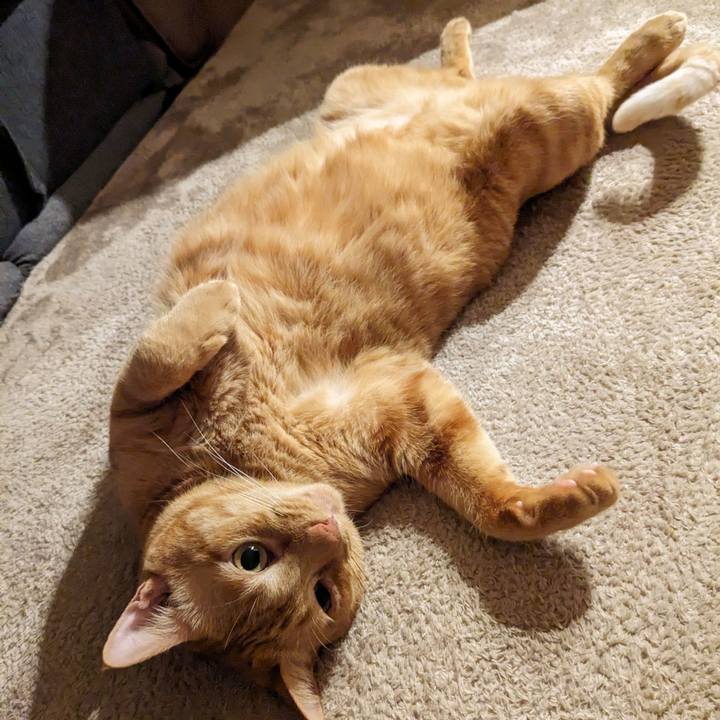 48e7ff45 8f4c 48a9 a6e5 363b21e0af74 1694693662502