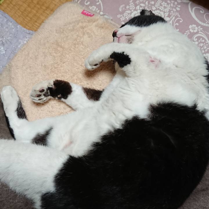 48e802a1 c4b8 4389 950c 28d2a967ca28 1604368884590