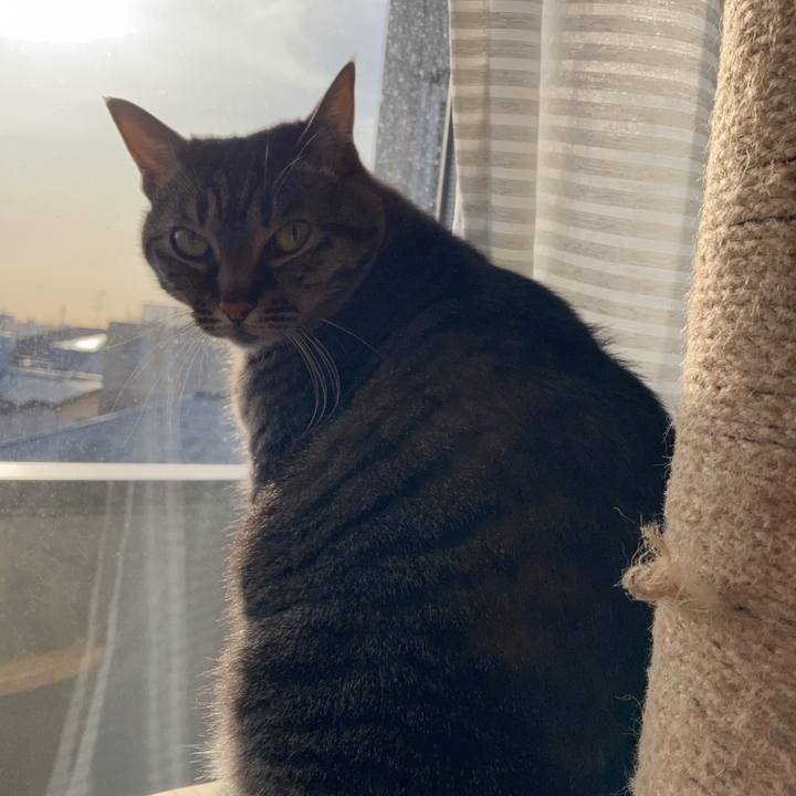 48e851dc f7f4 4e2c 9954 8fad47948762 1647476685919