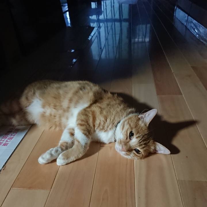 48e85953 b53b 4f34 b546 1b6253096054 1596923337392