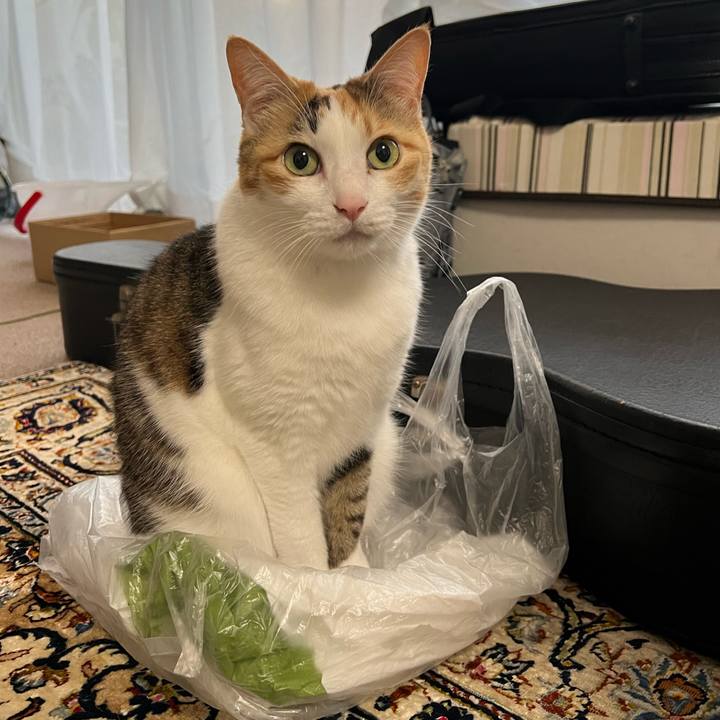 48e887d2 ebf9 4f9c 9cf5 d50cb2d63ded 1772573278563