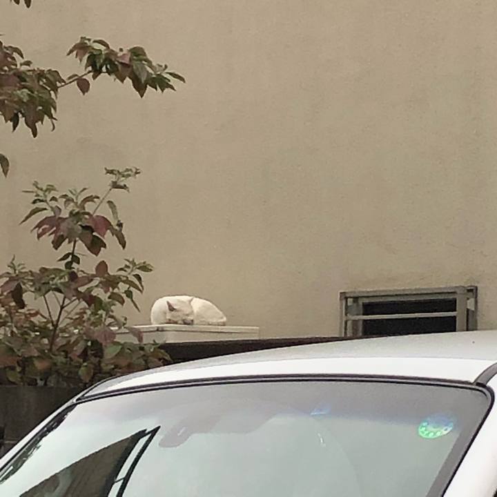 48e8b142 0381 42df 9f6b a743e57f8c15 1603574798684