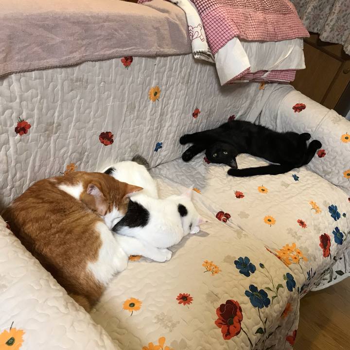 48e8c10a ce9b 4a73 a8e5 72449a01369e 1572125242973