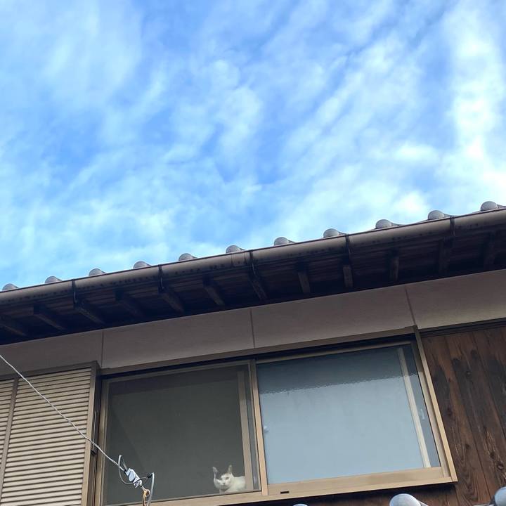 48e8d31e 8f8a 46eb a074 14f5f8303160 1648337000233