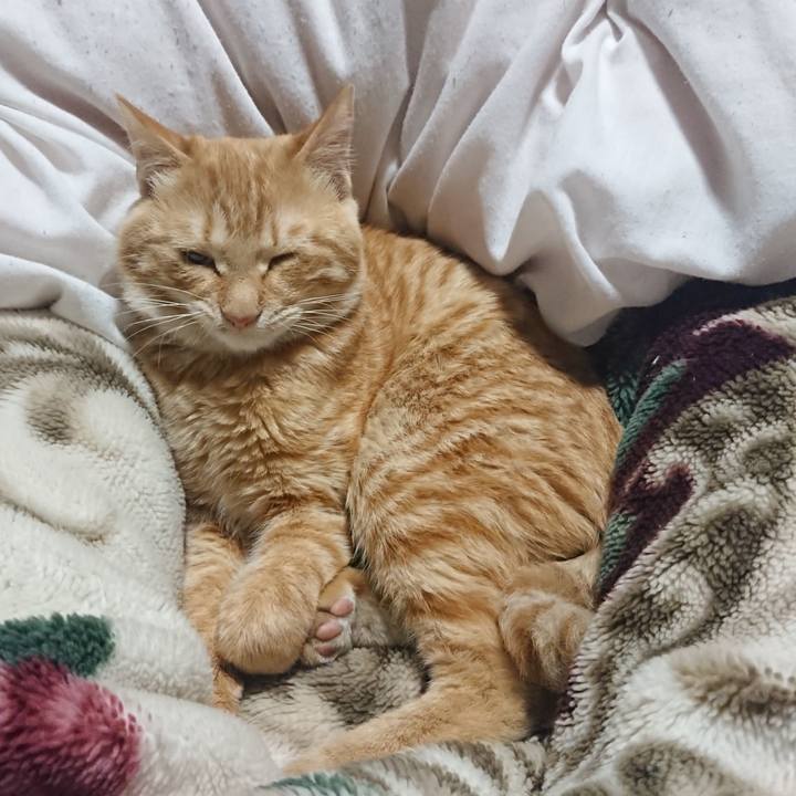 48e8d747 a48b 4443 9475 72d836b15a39 1637584956526