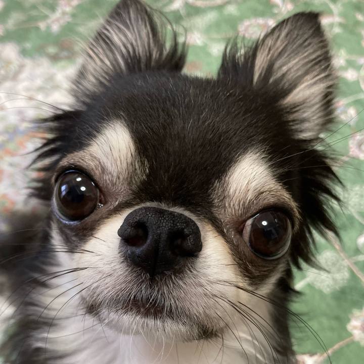 48e914e1 c0f1 452b 9688 34d022245cd8 1664060600077