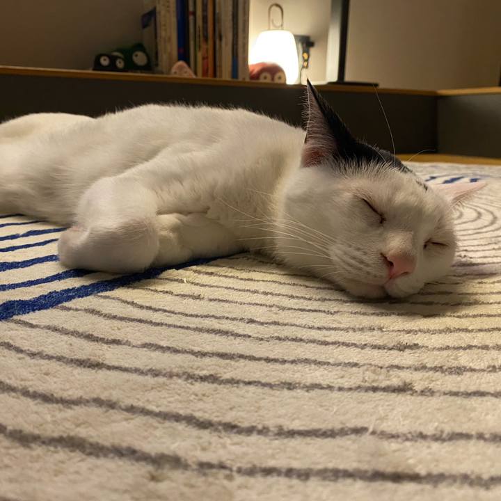 48e9406b 45c0 450c ac6d ca60fbd4836d 1747657998241