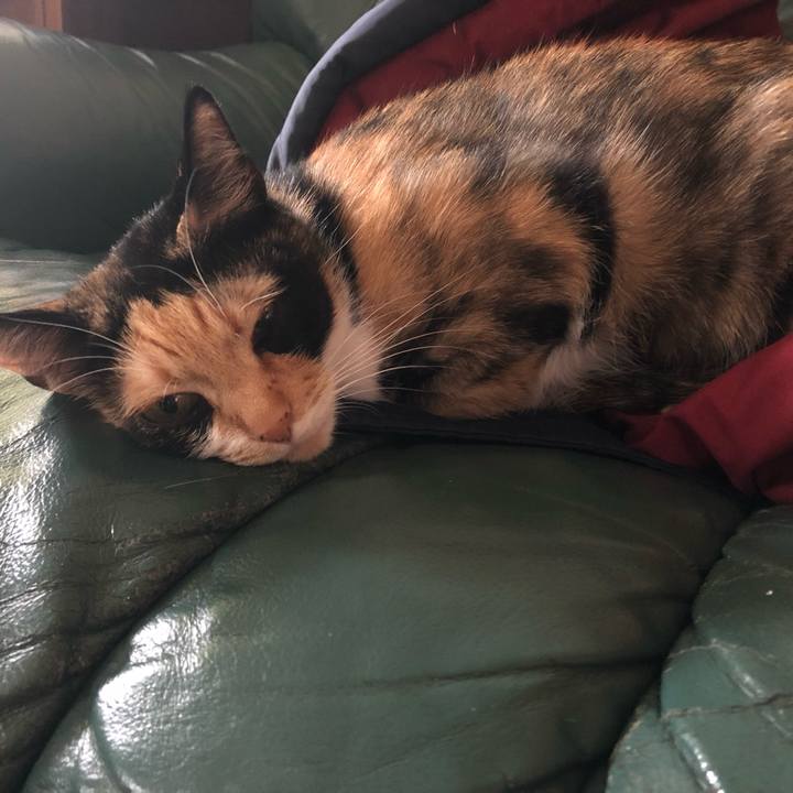 48e94e1d 17bf 4eb5 bcd6 e3b239dbd93e 1556664296171