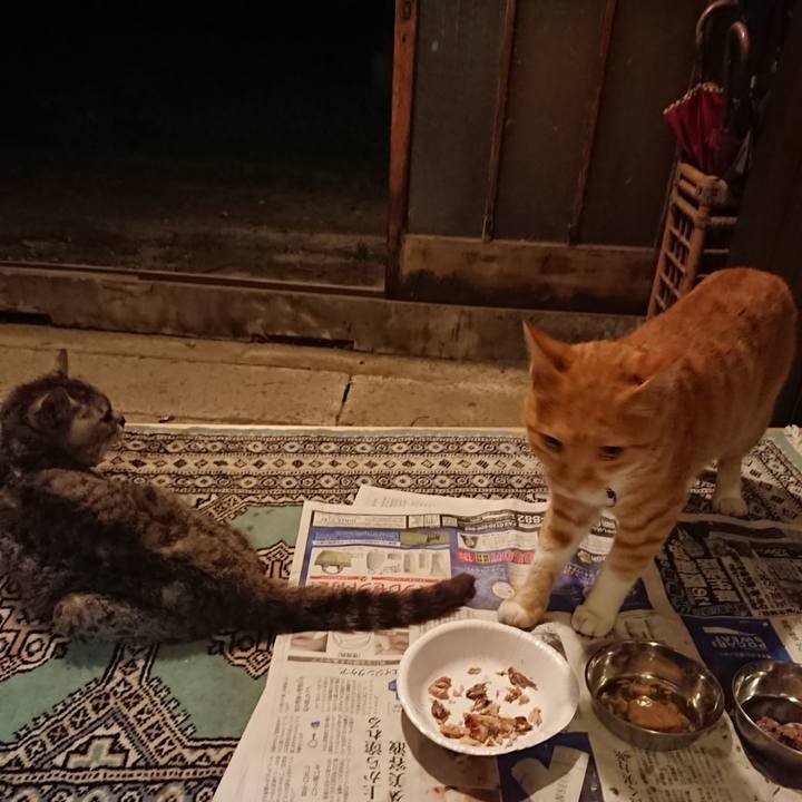 48e996cb e6d3 4991 ad36 ff7798b6991b 1598177524081