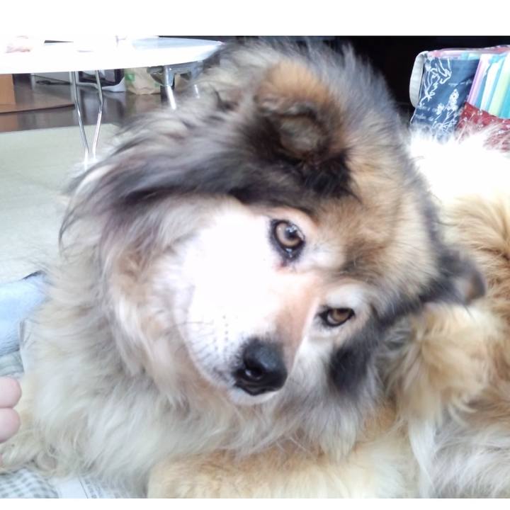 48e99c90 20fa 4a45 8f2e bd6c19060a30 1615077160184