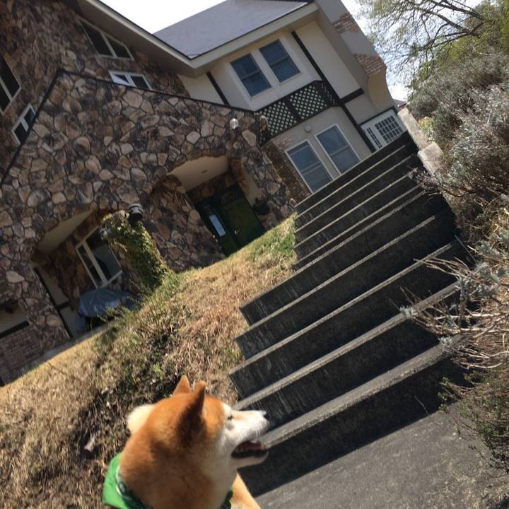 48e9d63a fd61 4fd4 8205 8c2e71be124e 1557635404477