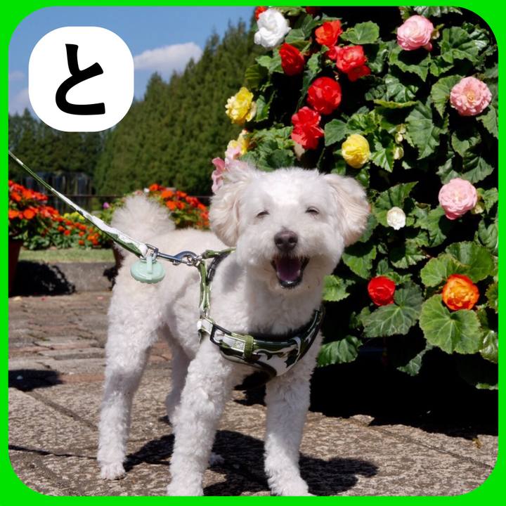 48e9e513 3ce1 4544 a239 0f81aa630d62 1514913112172