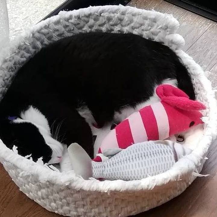 48e9fd2a a900 449a 942c 54e1f0368843 1593164695403