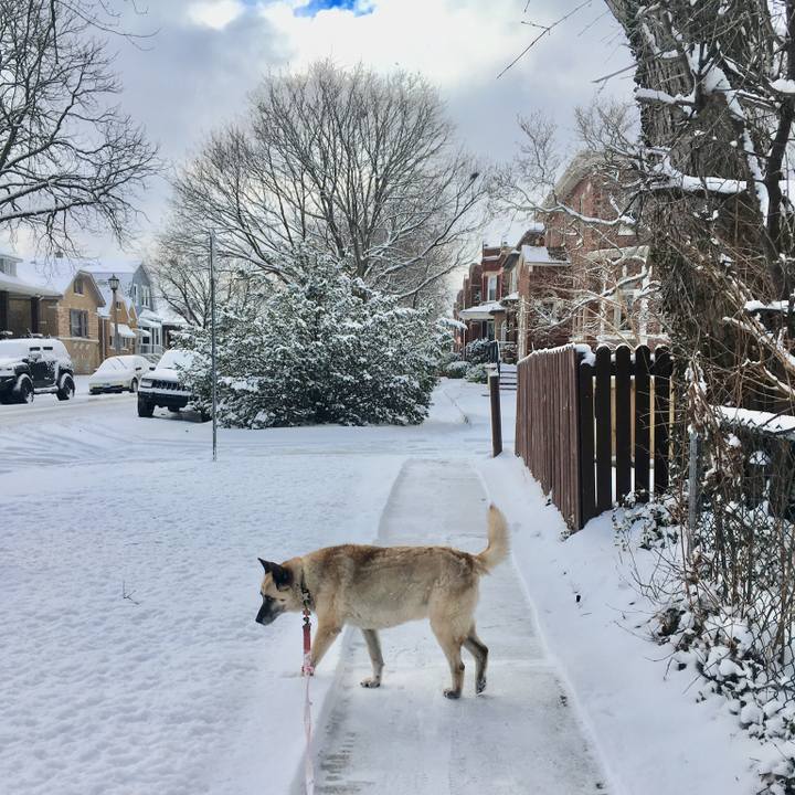 48ea04c9 434b 4718 8132 8b0943b3398d 1550706985660