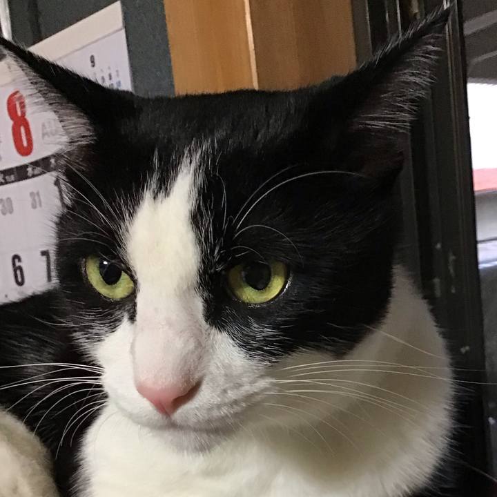 48ea160f aa3d 469d 8748 7b5b6df41c7b 1724832558788