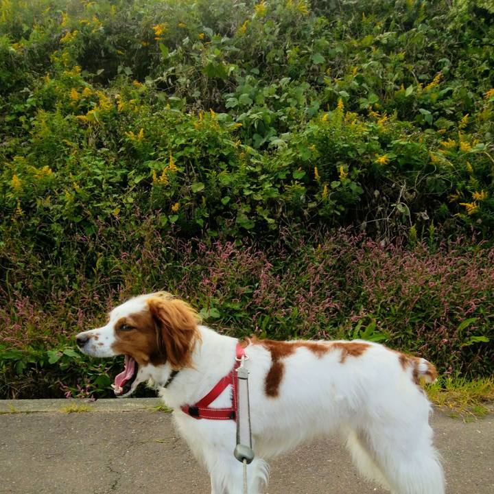 48ea2653 398e 43a0 a079 cfc0cd84c17a 1539592503935