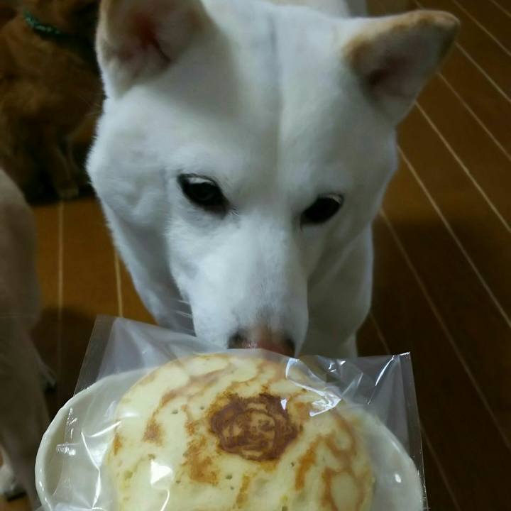 48eaa415 7352 412b af27 e20563ece811 1517639873599