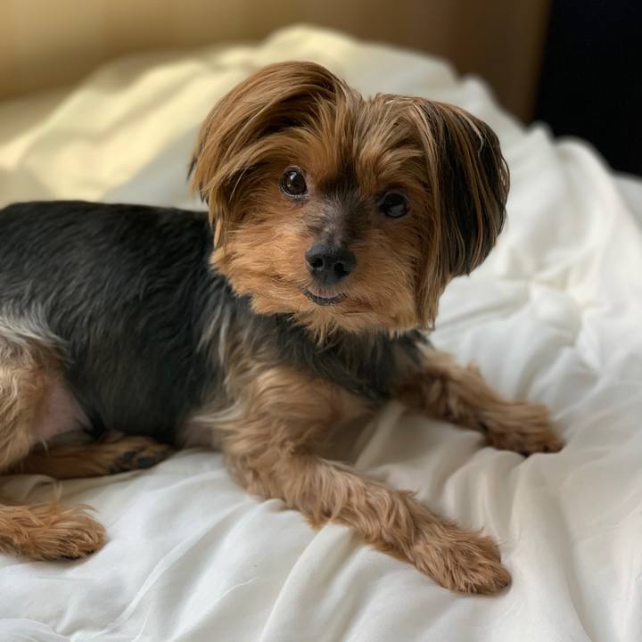 48eaa803 3aac 45fe 84ae ebf5b0e5c067 1593657327679