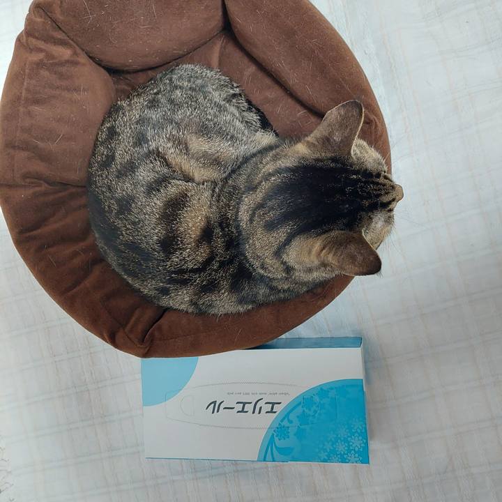 48eac5b4 9dce 4684 a17f 5de36c30abf0 1635284452925