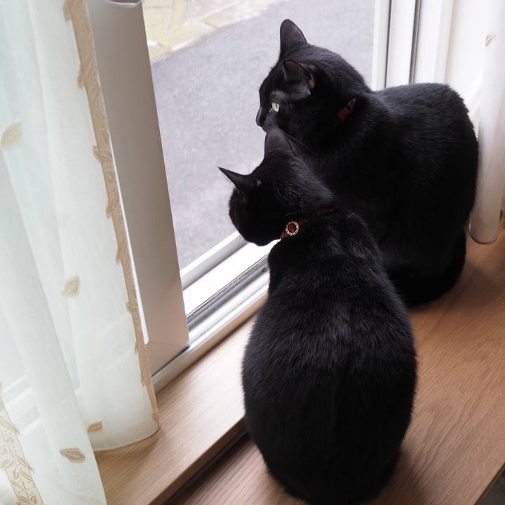 48eaf88f f1d0 460b 9e19 2c3eedbf1b16 1542066784043