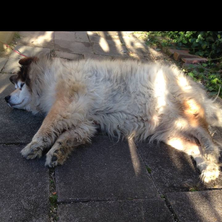 48eaf8ff a6a8 4aa6 b276 fe07d3f3f01c 1653597146146