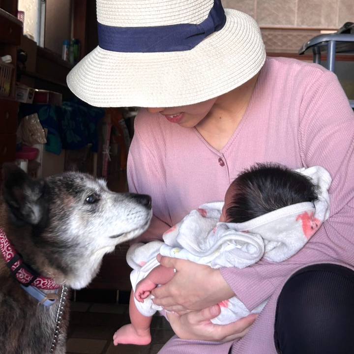 48eb2767 d2e4 46f2 a619 3f5a6ed52c34 1758500535562