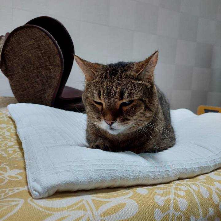 48eb474b 7e51 47e9 8e6e bed40abec1de 1753131850334