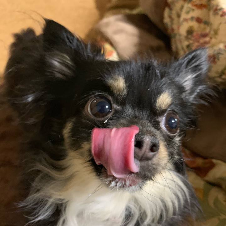 48eb4a93 ef6a 4a48 94cf 4770c02ae5c7 1552689182757