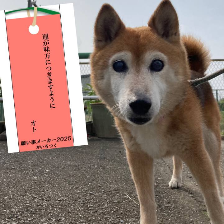 48eb78ce 4a17 4ebb 90ad 30d48e527387 1751849496686