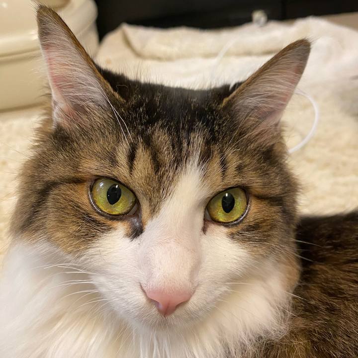 48eb9f9f a75e 4001 8d52 7811229bf82e 1669419962833