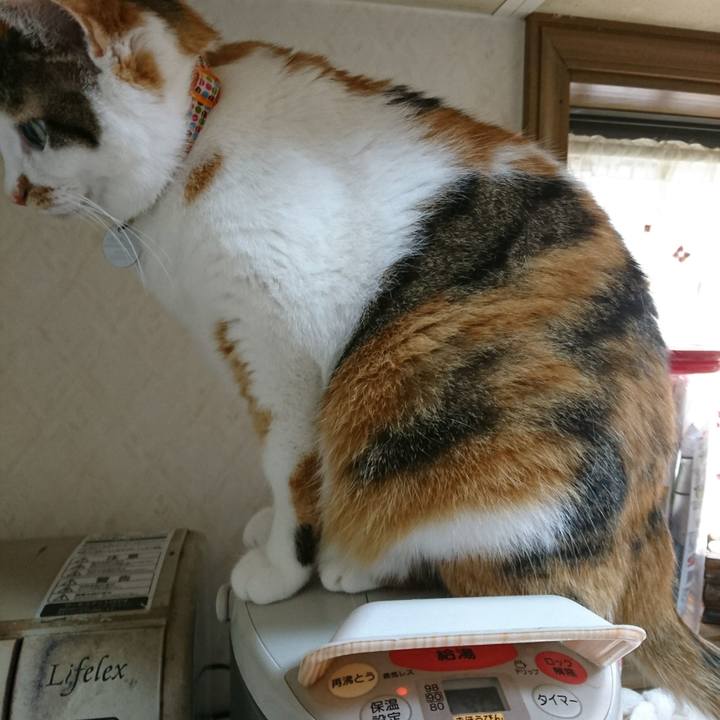 48ebe10e 9b71 4229 9e01 f6d3f3c89dbc 1526856911000