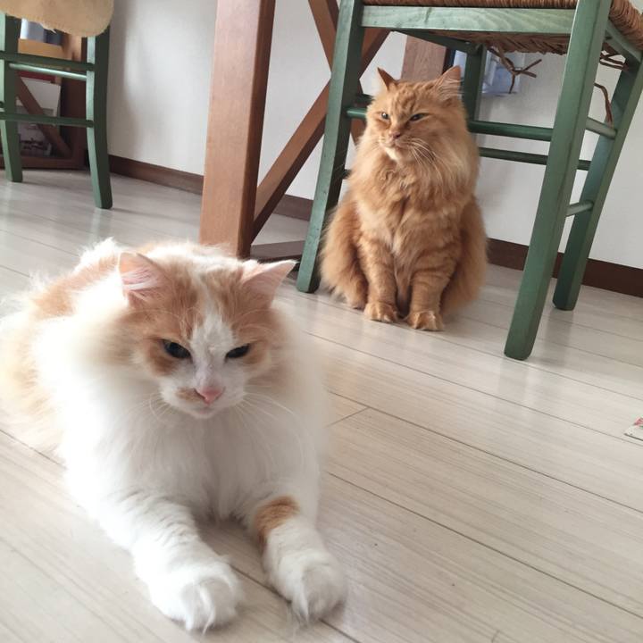 48ebf391 b701 4ab0 8193 85cf969ffec4 1526511454422