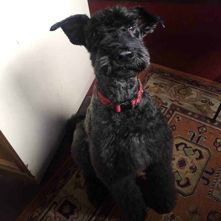 48ec3035 a09b 44fc 83f4 ef598ffcc4cf 1560993496629