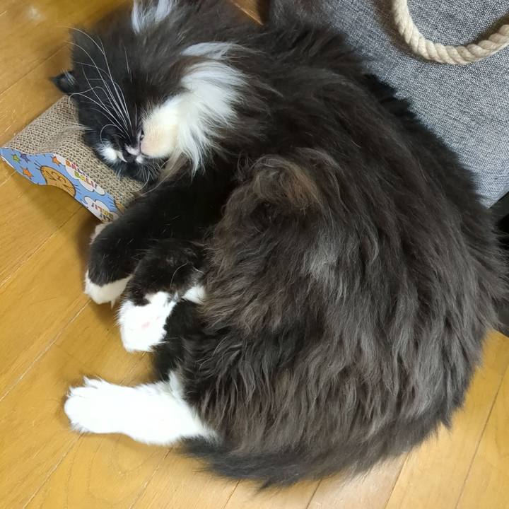 48ec52bd 2f95 43ff b5d9 a00c6a2fa363 1758007467807