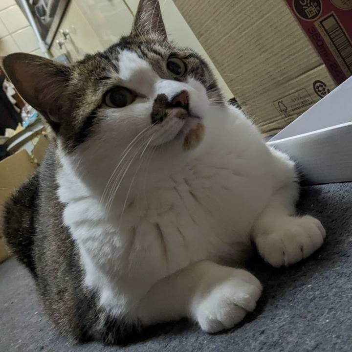 48ec7d42 eed4 4ec4 b442 7c1c125eea7f 1714678749175