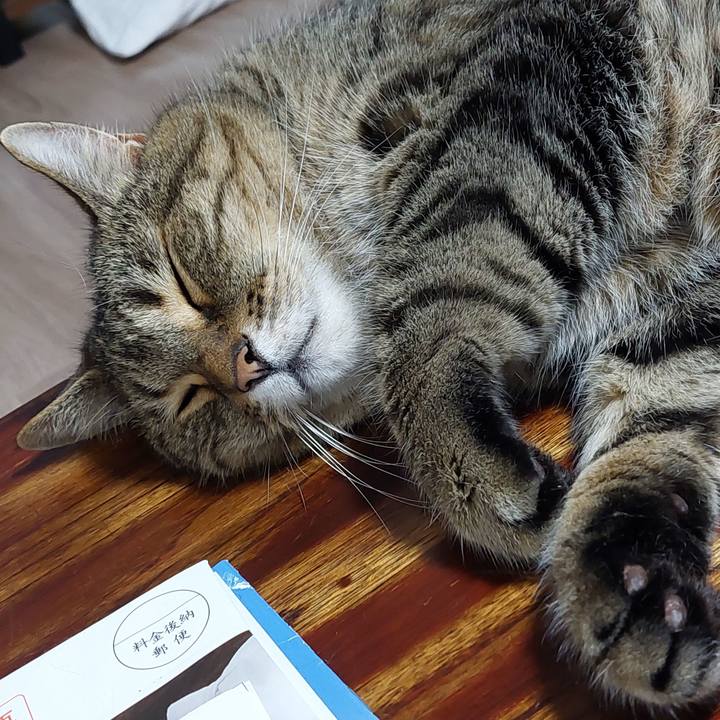 48ec854d 5006 4aae 8e82 e8b782cca1ec 1656760685521