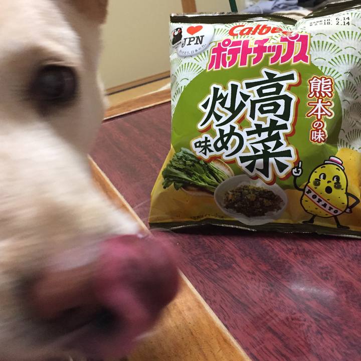 48eca8d1 e027 46b1 8530 74f490f59e76 1519385971418