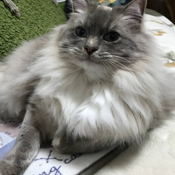 48ecc0c8 7af8 4c68 b3bf a08c287fb5b0 1519220549314