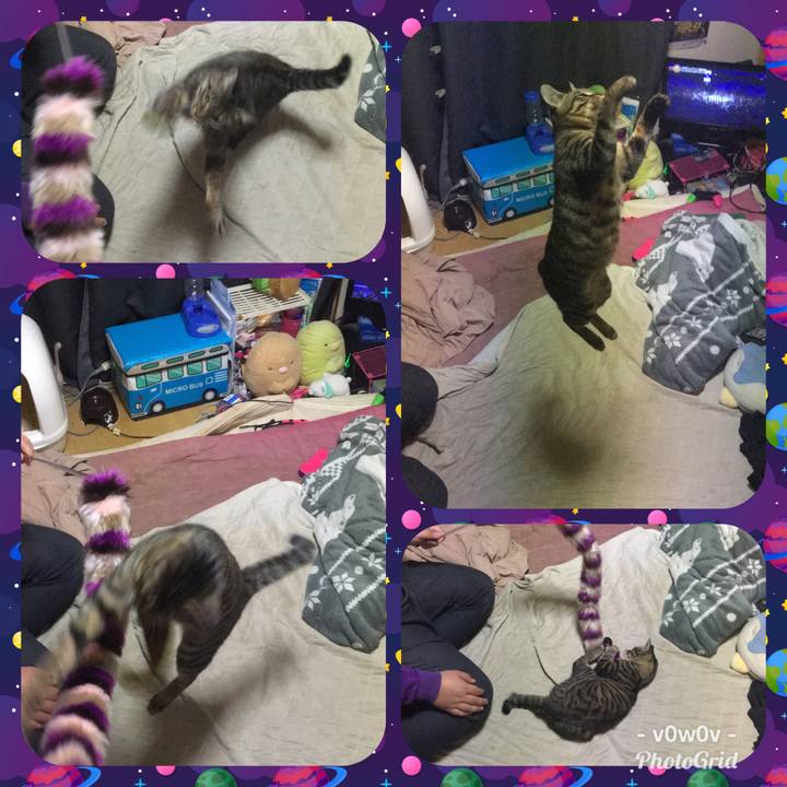 48ece18e f5cc 4a3b a6ae f0dc8aa2fff3 1545632901605