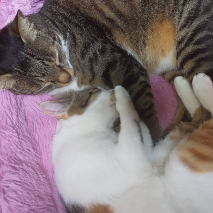 48ecf667 bf87 4504 b55c d08e1b3a7d1e 1656168184298