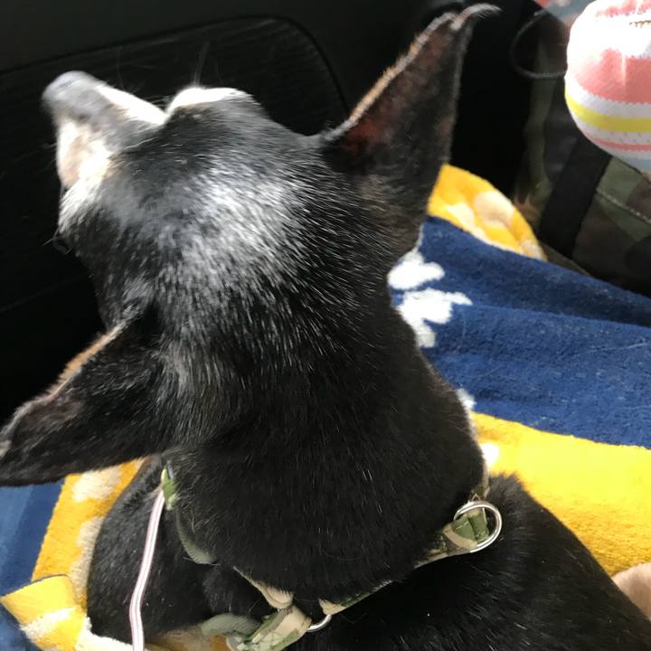 48ed1e52 896b 4a93 ad1f c8a6e9a5a20e 1566012512607