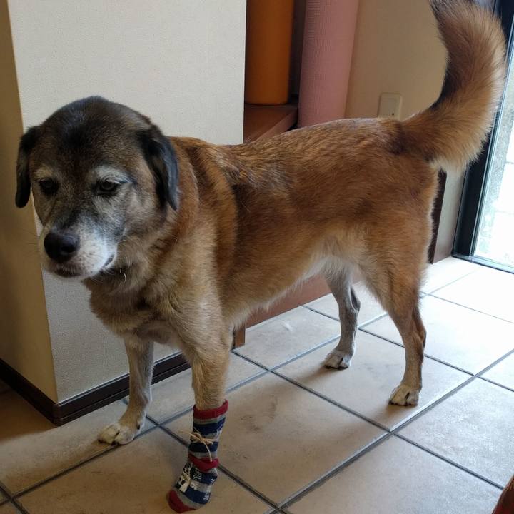 48ed336e 3d9b 47e6 bfdd 250fd78d8552 1534056475830