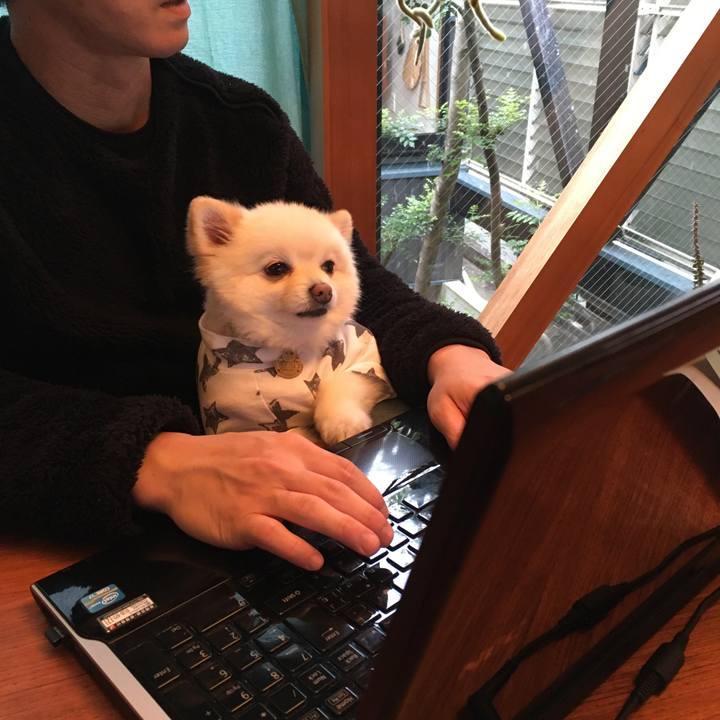 48ed3921 d890 43e5 ab99 be08b7e588f6 1609390928824