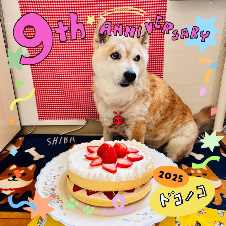 48ed39be 28c2 48eb 87a9 2652eecd4451 1749172986931