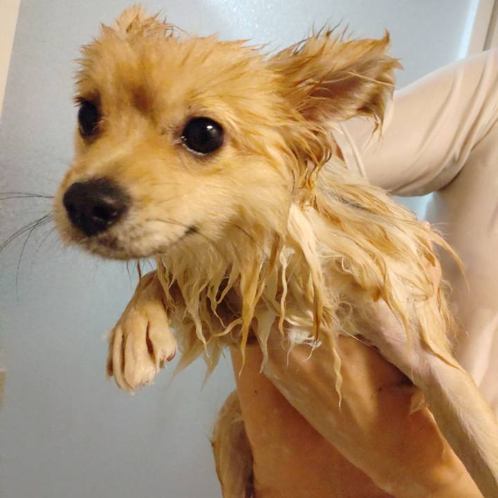 48ed725f ebeb 4ad2 9d5d ea786ac8aa16 1737857400826