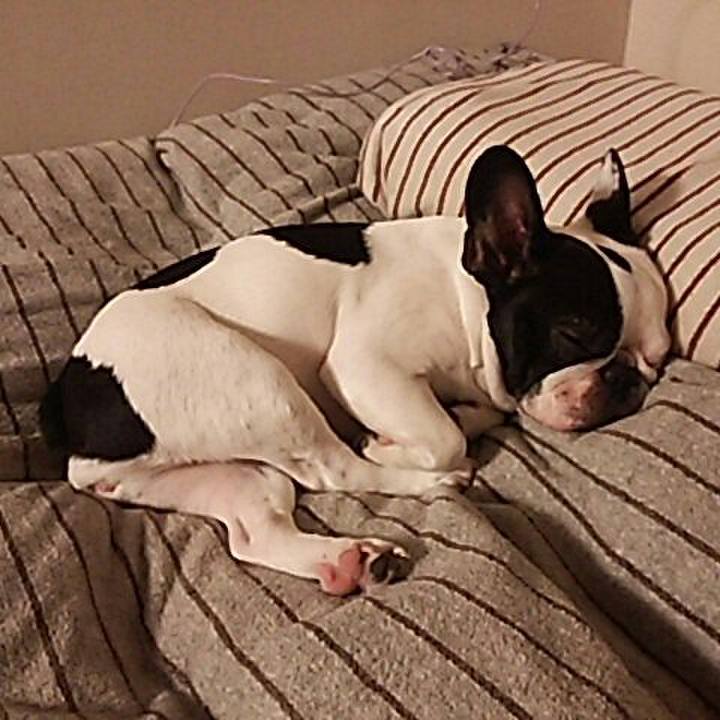 48ed7ad5 c204 4e9d adf4 8457c798e748 1526047360623