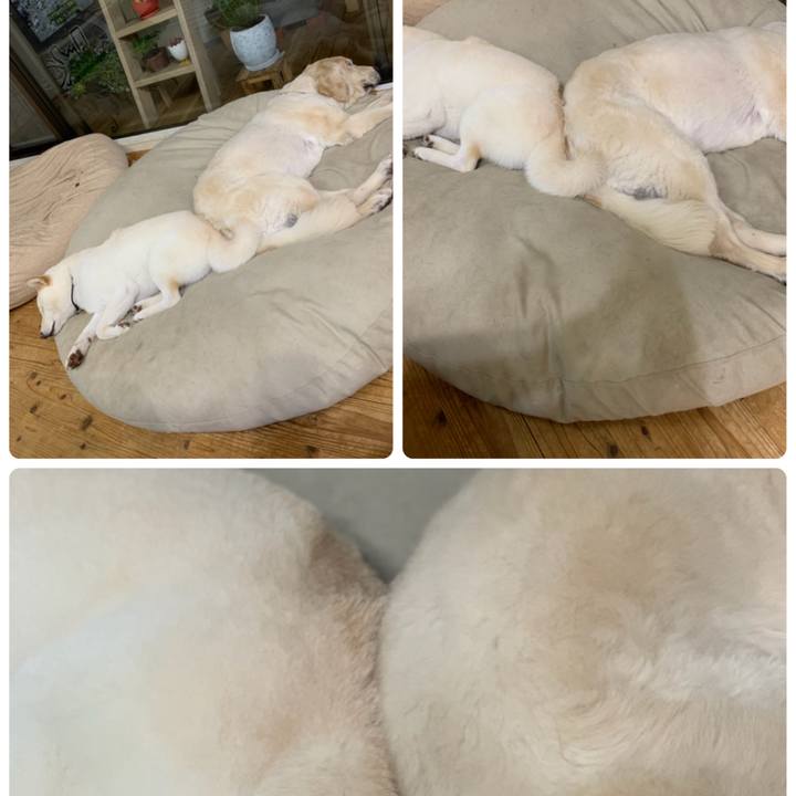 48eda3cc 8f80 4700 b23a 9a8c367efa47 1589282982970